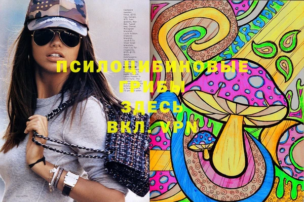 твердый Ладушкин