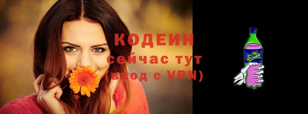 прущие грибы Кукмор