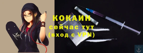прущие грибы Кукмор