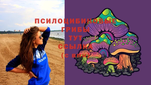 MESCALINE Куйбышев