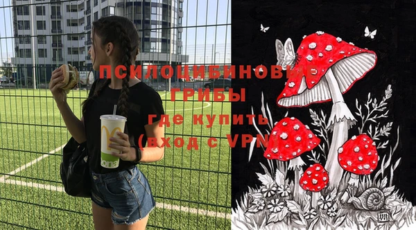 твердый Ладушкин