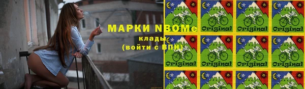 прущие грибы Кукмор