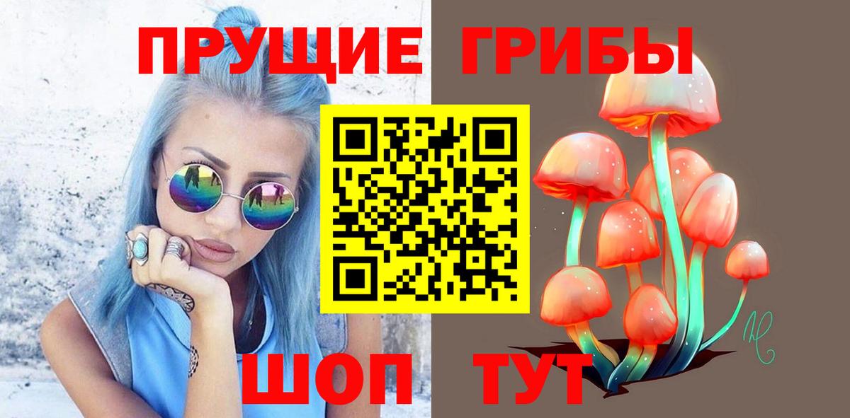 Галлюциногенные грибы мухоморы Можайск