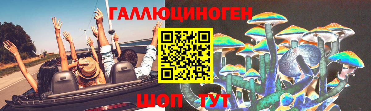 Псилоцибиновые грибы GOLDEN TEACHER  Можайск 