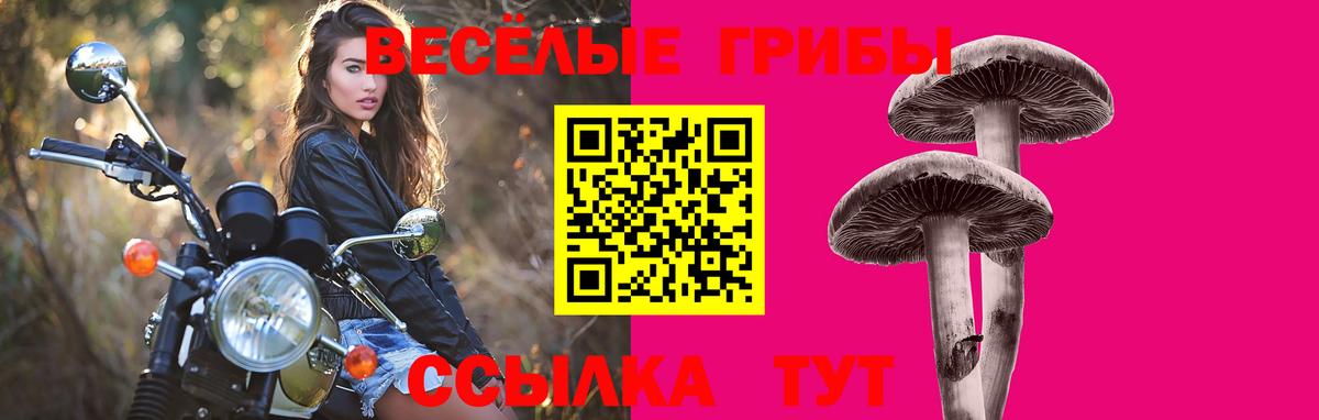 Псилоцибиновые грибы Magic Shrooms Можайск